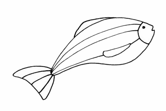 斑马鱼儿童简笔画