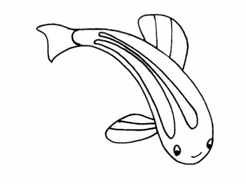 简单的斑马鱼怎么画