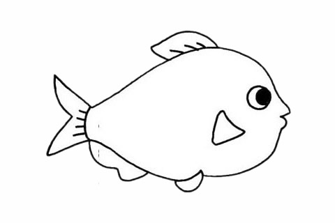 关于鲳鱼的简笔画