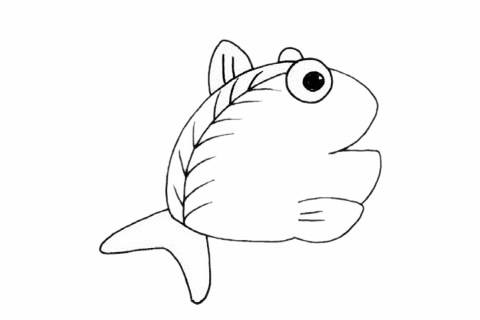 简单的鲳鱼怎么画