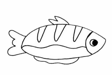 鲳鱼的简单画法