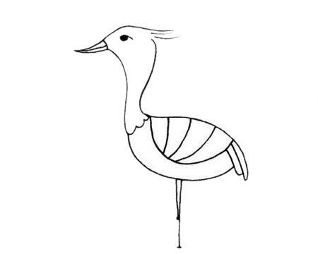 鸨鸟的简单画法
