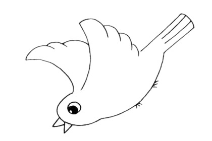 飞翔的杜鹃鸟简笔画