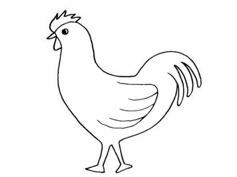 简单的公鸡怎么画