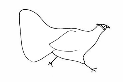 简单的褐马鸡怎么画