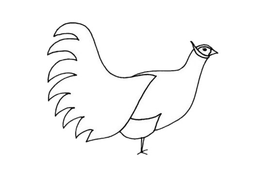 关于褐马鸡的简笔画