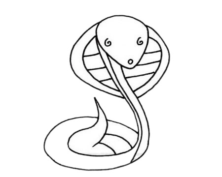 关于眼镜蛇的简笔画