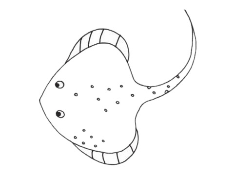 可爱的鳐鱼简笔画