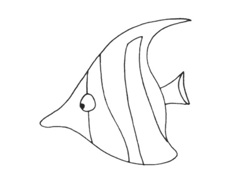 尖尖的热带鱼简笔画