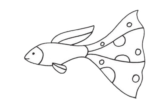 大尾巴热带鱼简笔画