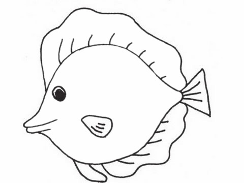 可爱的深海鱼简笔画