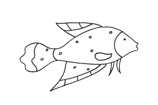 观赏鱼怎么画最简单