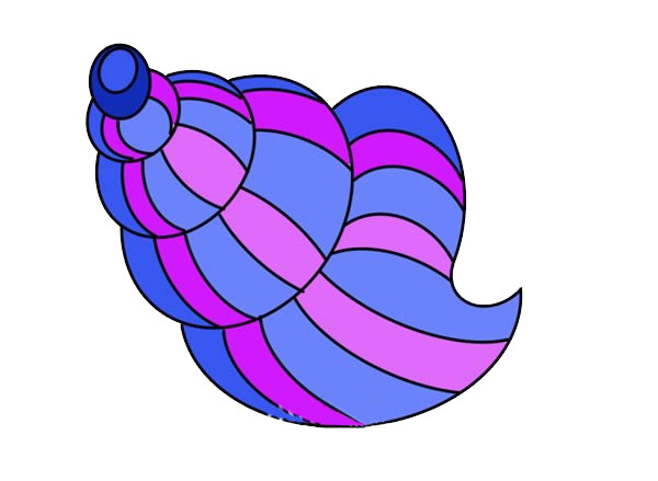 炫彩的海螺简笔画步骤