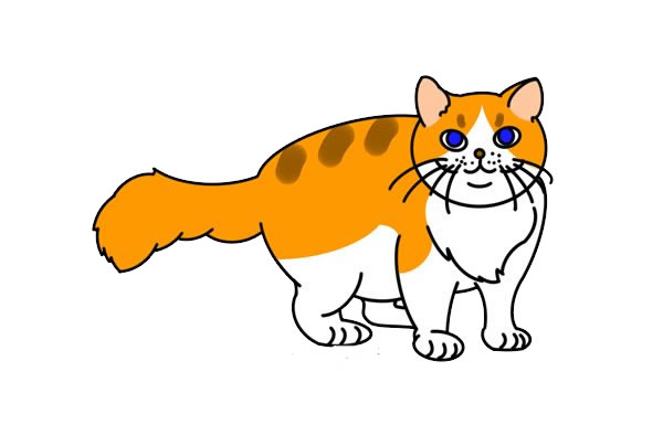 橘色小猫简笔画步骤
