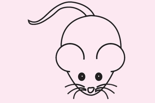 老鼠怎么画比较简单