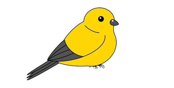 可爱黄鹂鸟简笔画画法