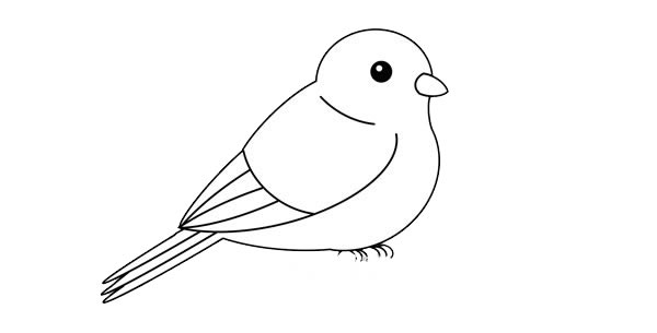 可爱黄鹂鸟简笔画画法