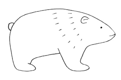 超简单的北极熊简笔画