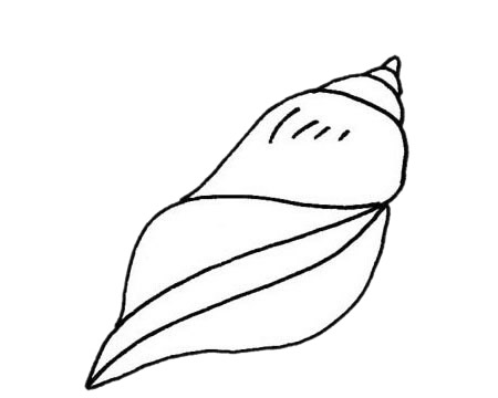 海螺怎么画比较简单