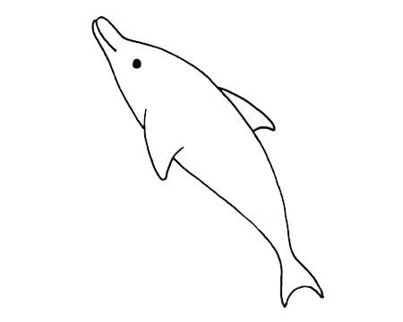 海豚儿童简笔画