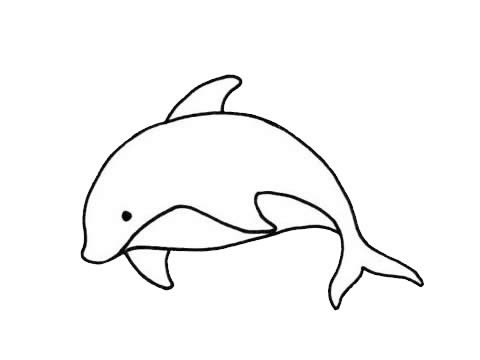 关于海豚的简笔画