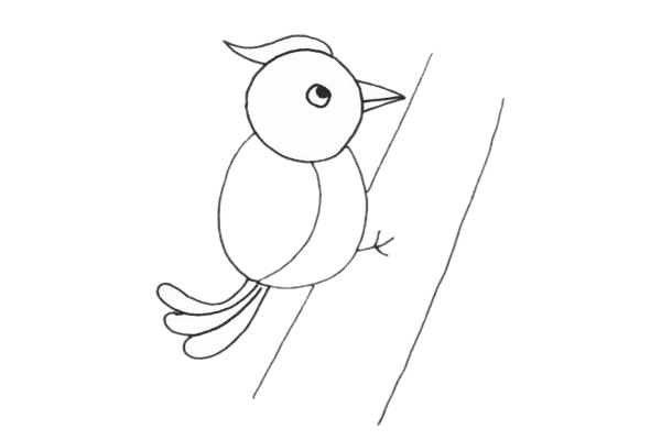 树干上的啄木鸟简笔画
