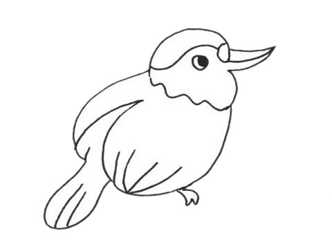 一只小啄木鸟儿童简笔画