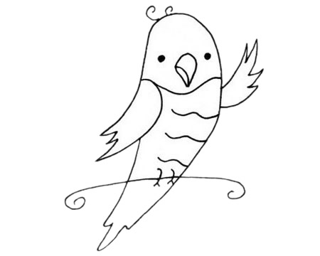 关于鹦鹉的儿童简笔画