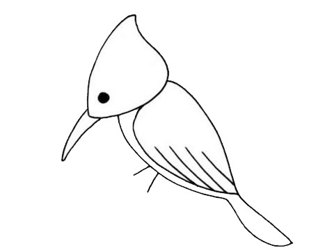 几笔就完成的啄木鸟简笔画
