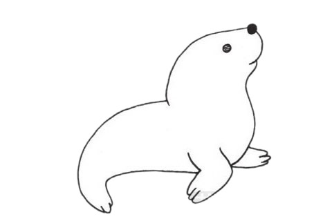 海狮的简单画法