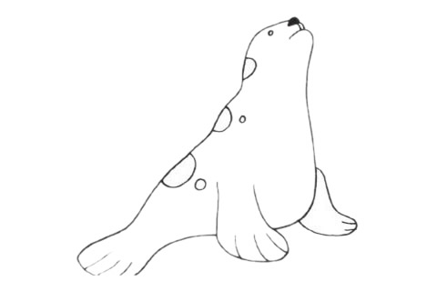 可爱的海狮简笔画