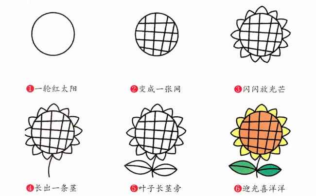 带颜色的向日葵简笔画教程