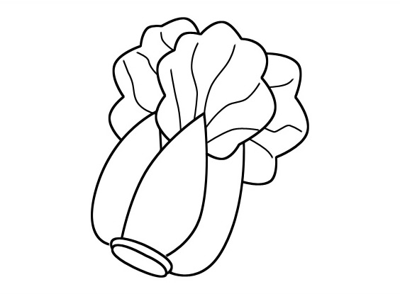 超简单的大白菜简笔画