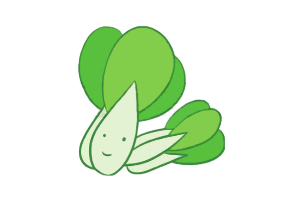 油菜怎么画简单又好看