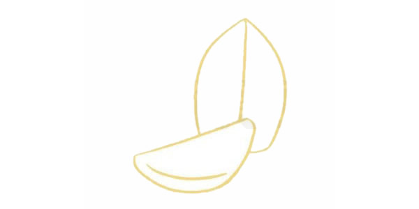 带颜色的大蒜简笔画